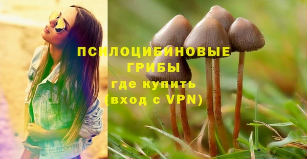 spice Беломорск