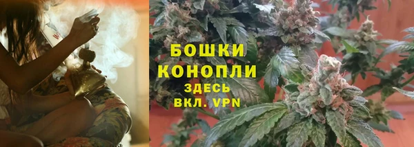 ешки Белокуриха